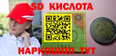 гашик Тара