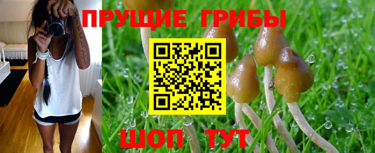 Галлюциногенные грибы Psilocybine cubensis  Псилоцибиновые грибы Psilocybe  Нефтеюганск  Вход с VPN 